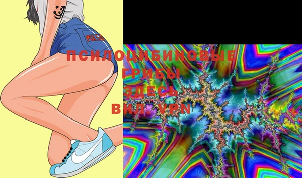 2c-b Верхний Тагил