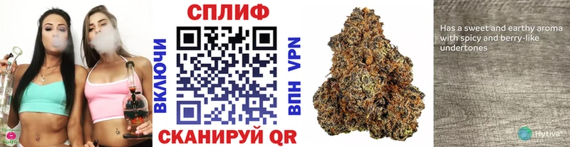 Каннабис Amnesia  Вилюйск 